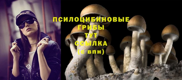 трава Алексеевка