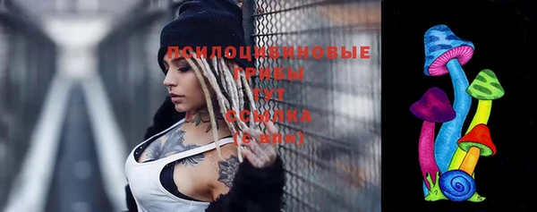 2c-b Алзамай
