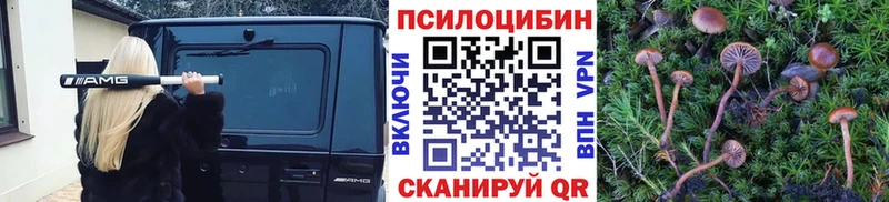 Псилоцибиновые грибы MAGIC MUSHROOMS Шенкурск