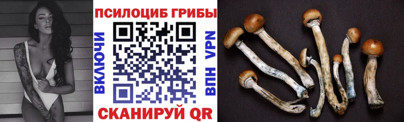 Галлюциногенные грибы ЛСД  KRAKEN ССЫЛКА  Шенкурск 